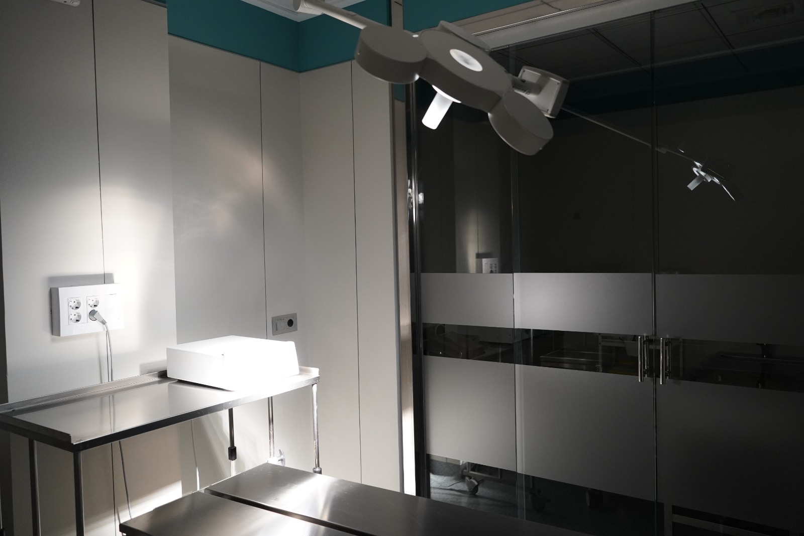 Quirófano veterinario